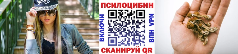 Галлюциногенные грибы Psilocybe  Купить  Новоульяновск 